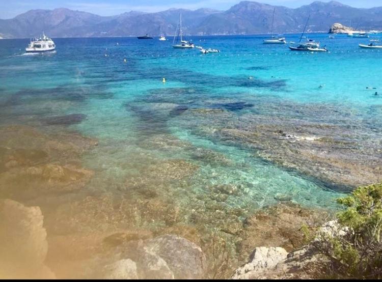Villa Le Corail Rouge Corse Lecci Exteriör bild