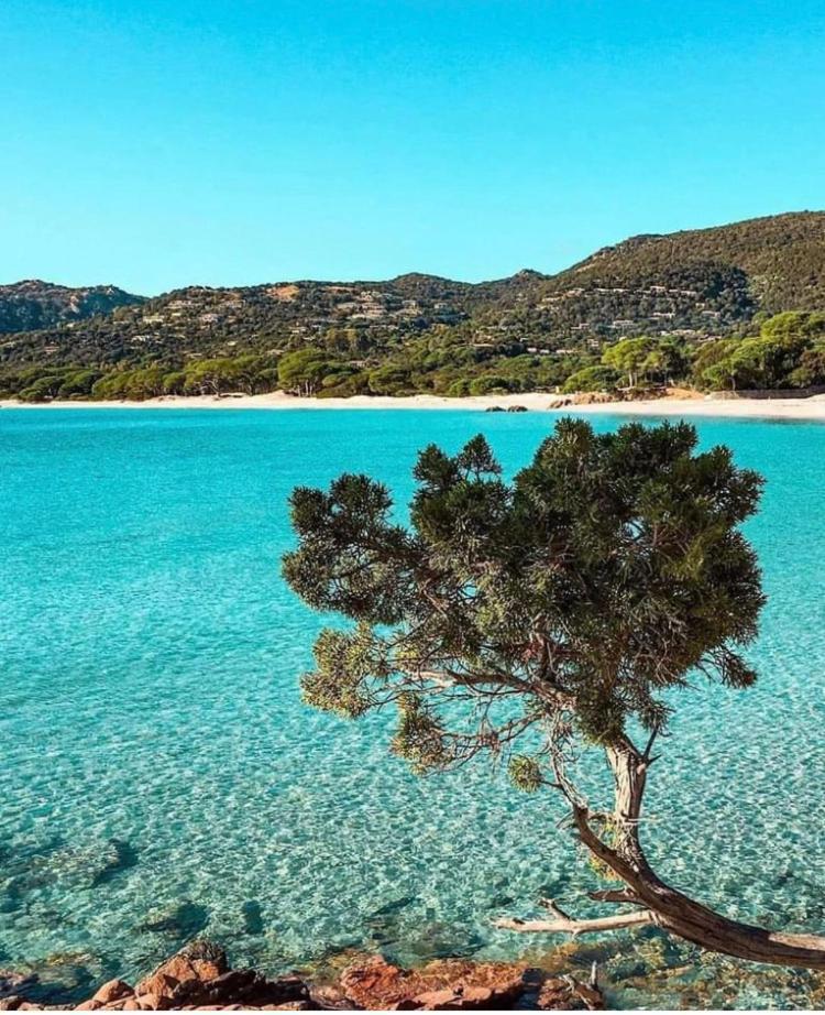 Villa Le Corail Rouge Corse Lecci Exteriör bild
