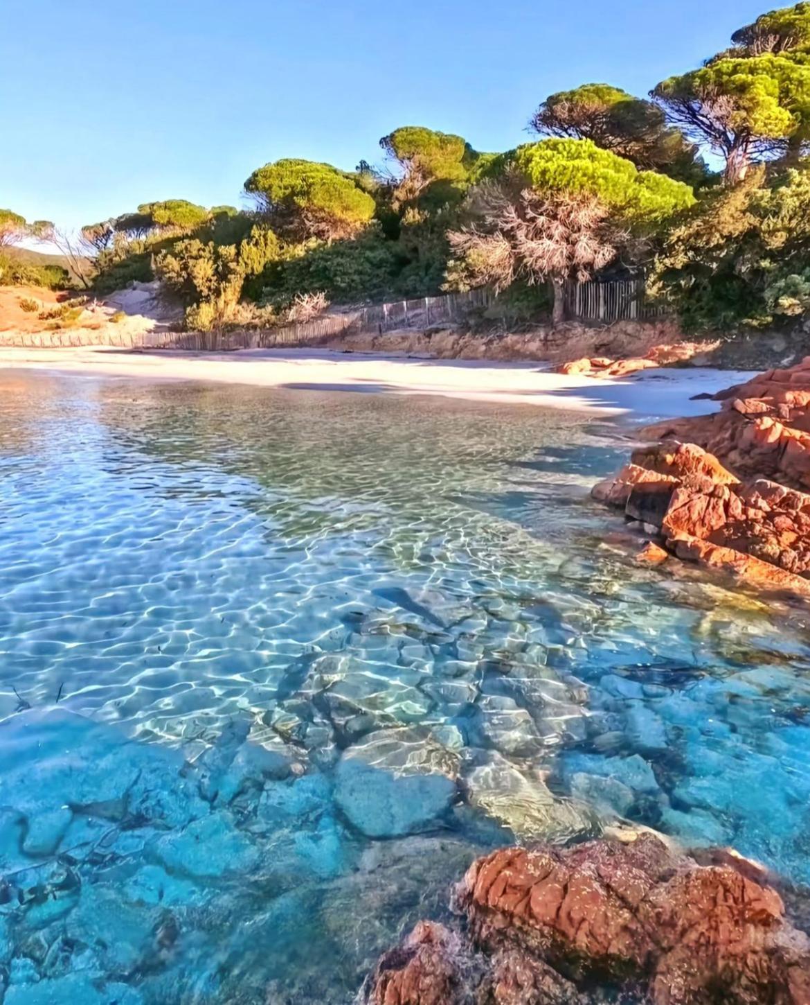 Villa Le Corail Rouge Corse Lecci Exteriör bild